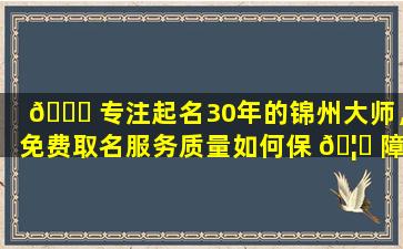 🐎 专注起名30年的锦州大师，免费取名服务质量如何保 🦊 障